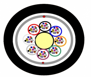 288F MLT ADSS ― Beloteks Latvia SIA