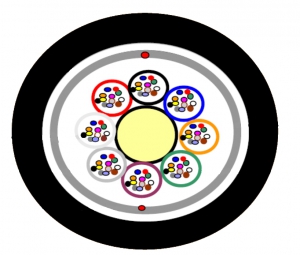 144F MLT ADSS ― Beloteks Latvia SIA