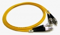 FC-FC SM Duplex Patch Cord - 2m